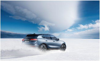 天際汽車ceo張海亮 我和德國人吵架 吵出了 極致的產(chǎn)品和服務